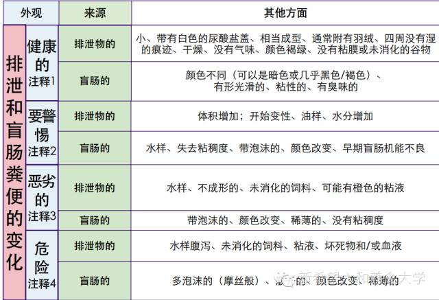 ＂2024年澳门历史记录＂的：专家权威解答_穿戴版4.23