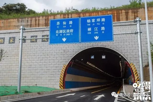 郴州轻轨最新动态，最新消息一览