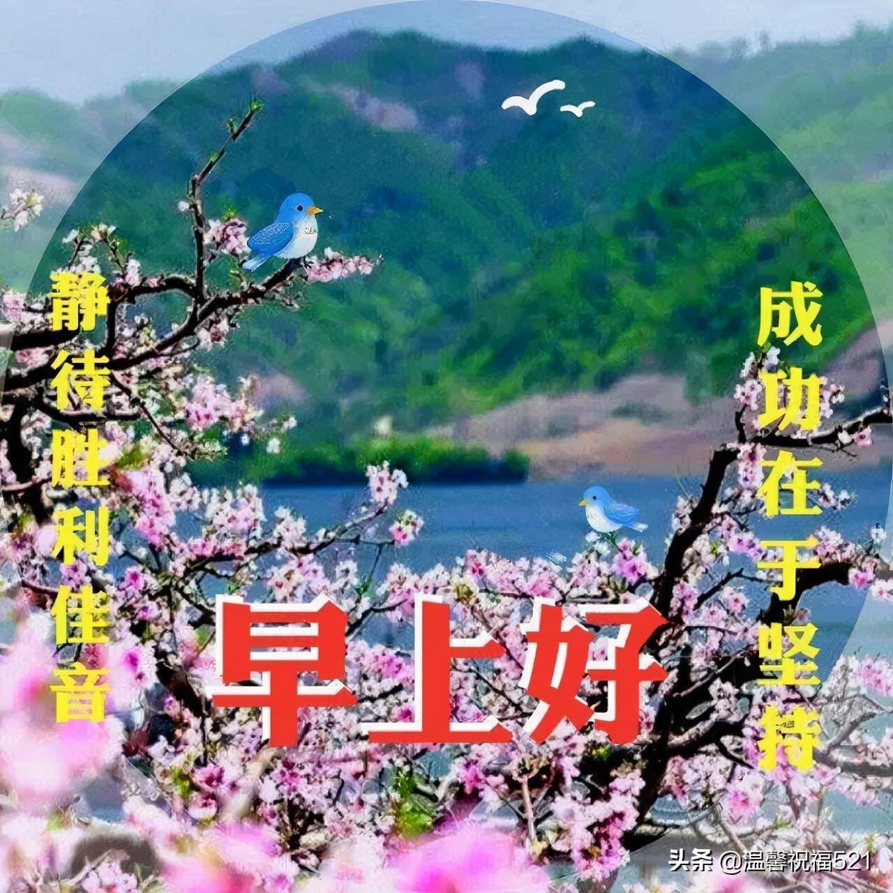 我的世界最新版本的神奇世界探索之旅！
