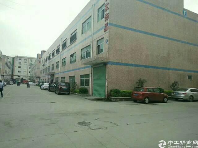 龙华龙观最新现场招聘盛会，职场精英集结地