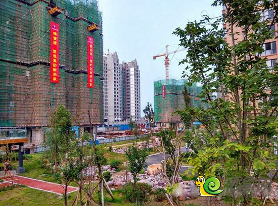 新乡帝堡公园最新动态揭秘，自然美景探索之旅开启